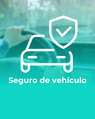 S VEHICULO