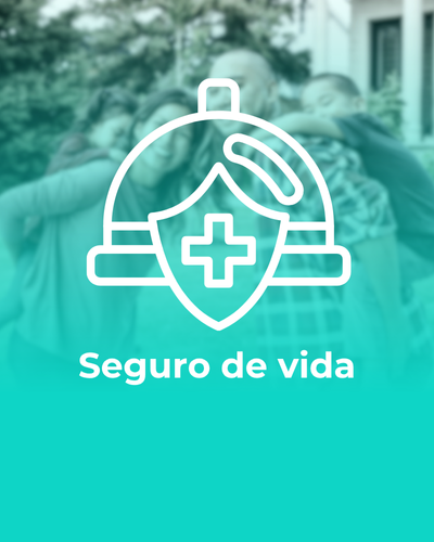 S VIDA